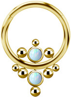 Clicker (PVD-coated titanium), with Premium Zirconia